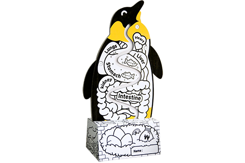 Penguin coin bank 03